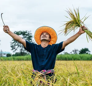 Agri-Tech and Innovation  Updates - 极速电竞