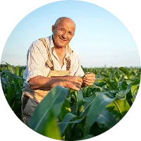 Revolutionizing the Way  Food is Grown - 极速电竞
