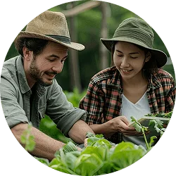 Revolutionizing  the Way Food - 极速电竞