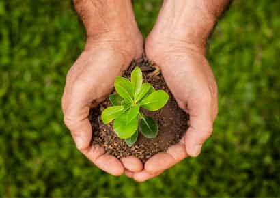 Organic Farming Solutions - 极速电竞
