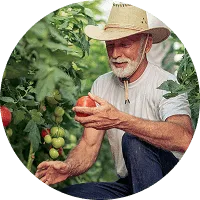 Organic Farming - 极速电竞
